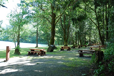 maple bay picknick site